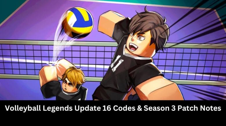 Volleyball Legends Update 16 Codes & Season 3 Patch Notes